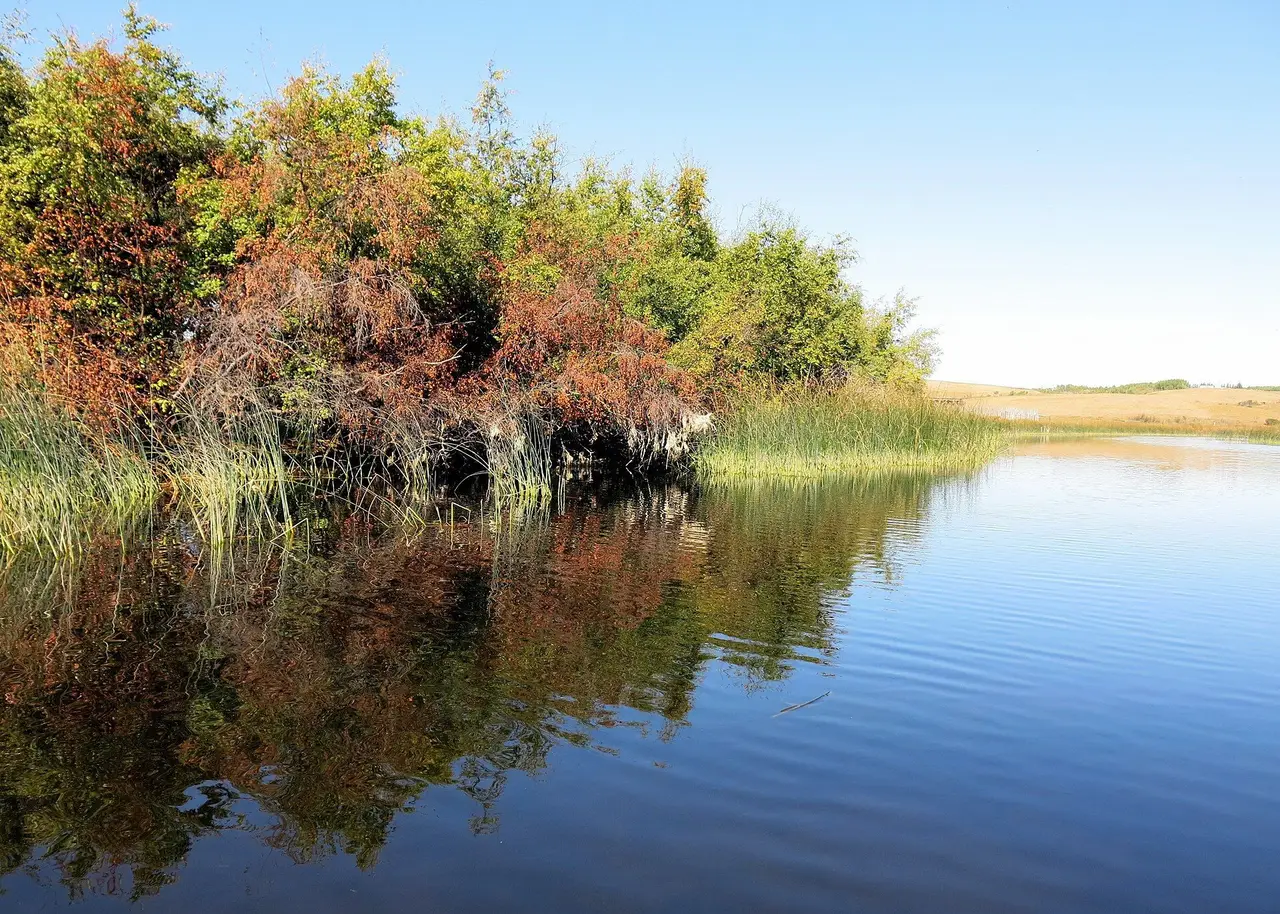 Jackfish Lake shoreline in early autumn, 2013
