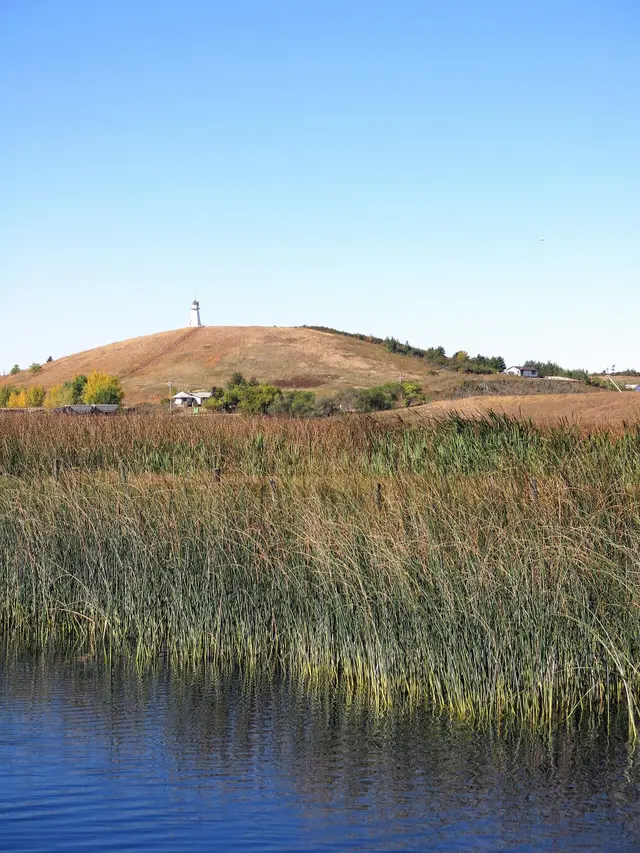 Reeds on Jackfish Lake with a hill and lighthouse-style tower